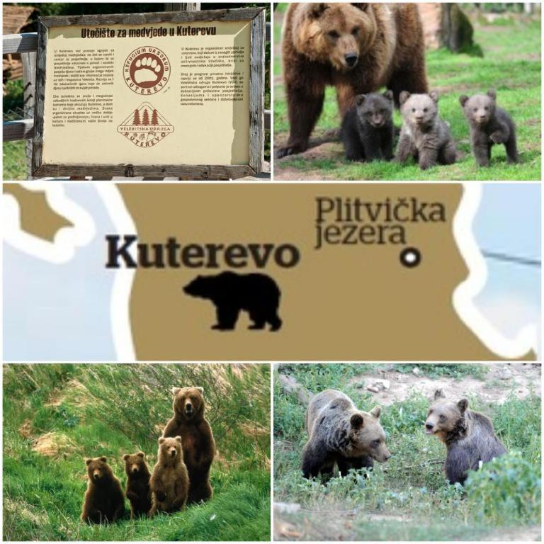 Apartman Black River Plitvička Jezera Zewnętrze zdjęcie